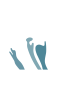 Logo Trazos y Tendencias SL
