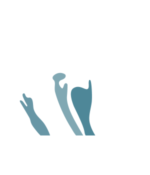 Logo Trazos y Tendencias SL